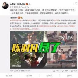 李婉君爆料视频大全集在线观看,揭秘幕后真相